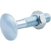 10 boulons tête ronde collet carré 6 x 30 mm