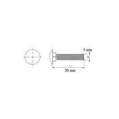 10 boulons tête ronde collet carré 5 x 30 mm