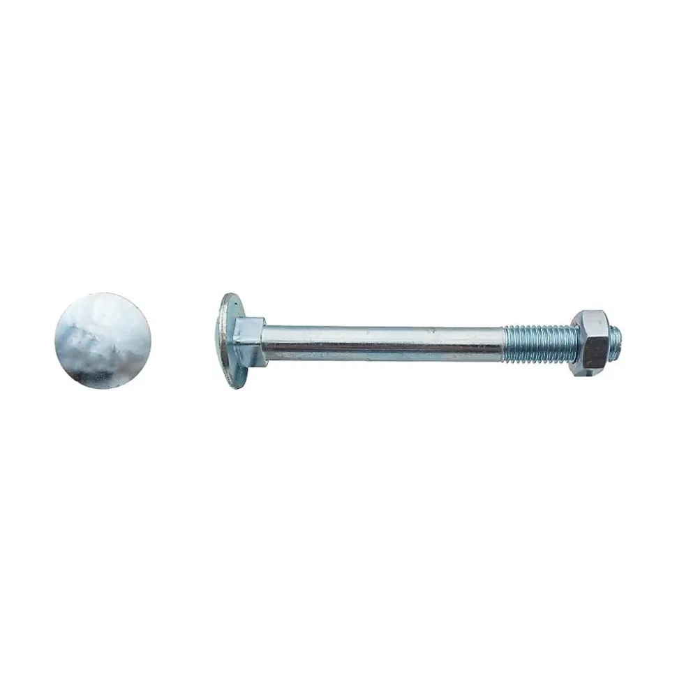 100 Boulons Tête Ronde Collet Carré TRCC 7 x 100 mm - DIN 603 - Zingué blanc - D-Work
