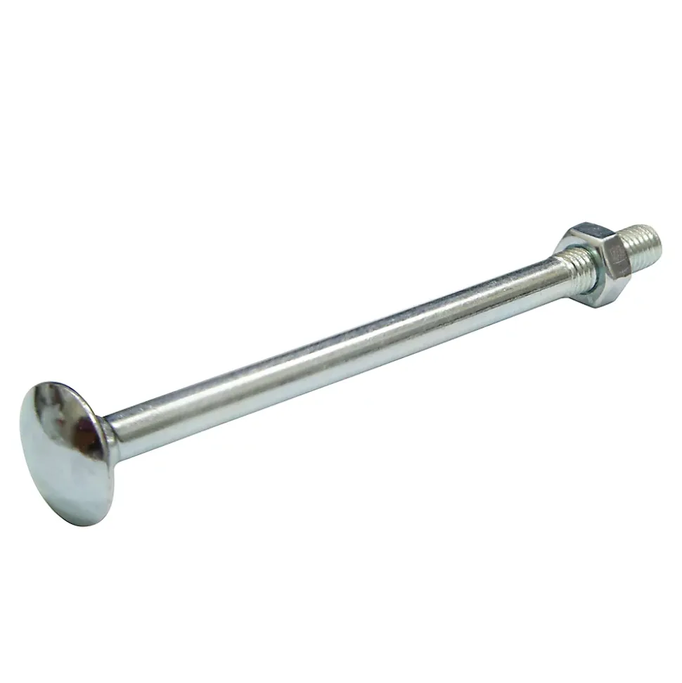 10 boulons tête ronde collet carré 6 x 60 mm