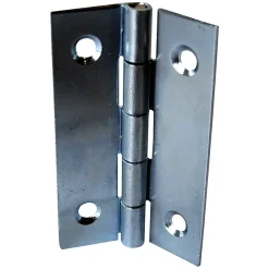 2 charnières acier zingué Diall 30 x 19 mm