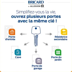 3 cylindres débrayables Bricard 35x35 mm avec 6 clés