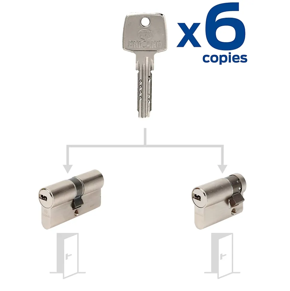 2 Cylindres débrayables Bricard 30x30/30x10 mm avec 6 clés