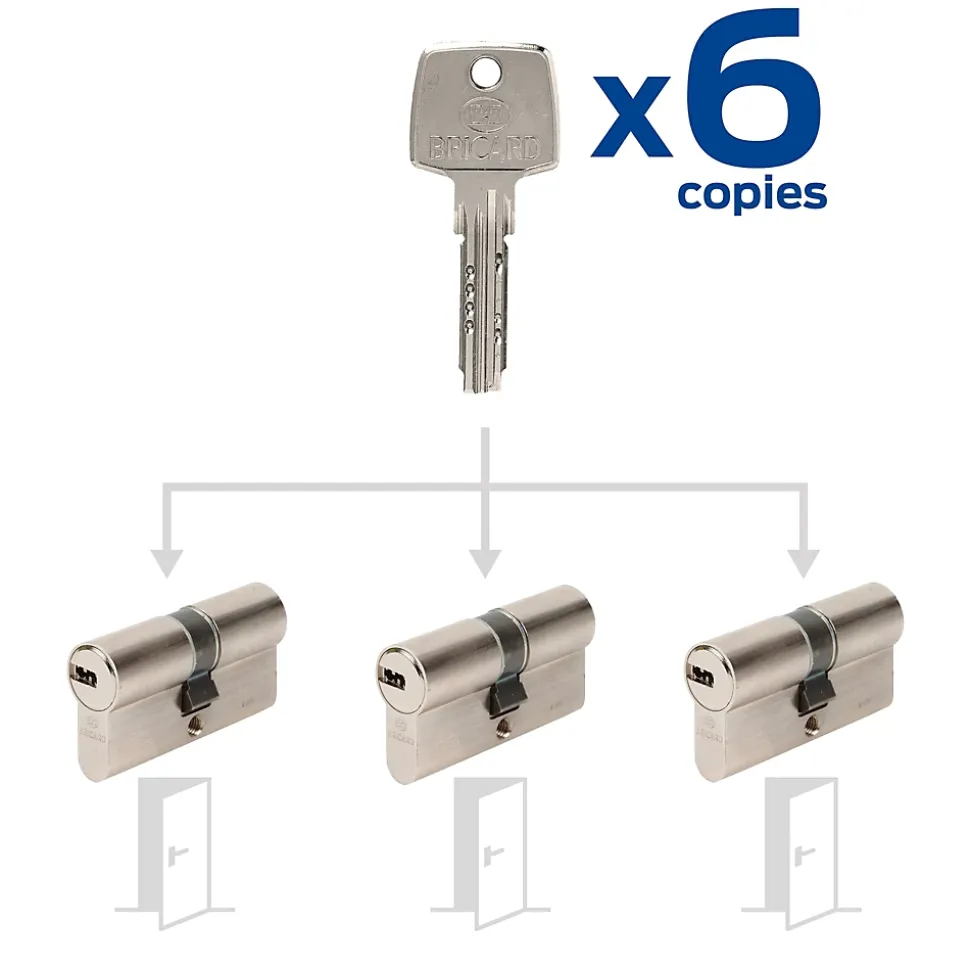 3 Cylindres débrayables Bricard 30x30/30x30/30x30 mm avec 6 clés