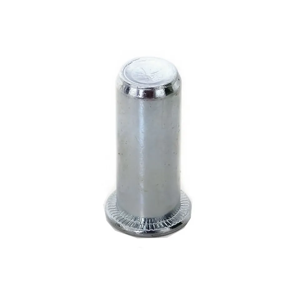 200 Ecrous à Sertir Borgnes Tête Plate GOFIX M6 x 20.5 mm - Acier - D-Work