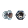 50 Ecrous Borgnes M20 mm - DIN 1587 - Zingué blanc - D-Work