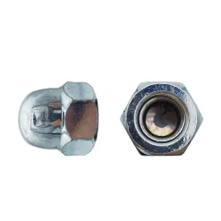 50 Ecrous Borgnes M20 mm - DIN 1587 - Zingué blanc - D-Work