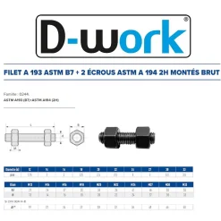 20 Filets et 2 Ecrous Montés D. 22 x 200 mm - ASTM A193 et ASTM A194 - Brut - D-Work