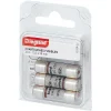 3 fusibles céramique Legrand 10.3 x 38 mm avec voyant