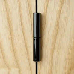 2 paumelles universelles 50 Epoxy Noir