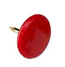 100 punaises multicolores à tête ronde et plate Diall