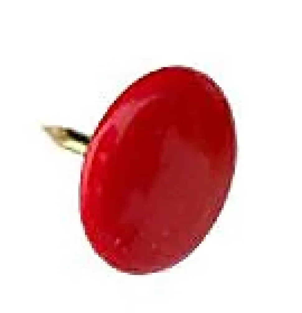 100 punaises multicolores à tête ronde et plate Diall
