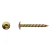 100 Vis Bois pour Penture Torx 6 x 60 mm - Zingué Bichro - D-Work