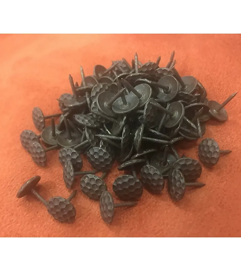 ALVEOLE - Clous Tapissier Décoratifs - Lot de 100