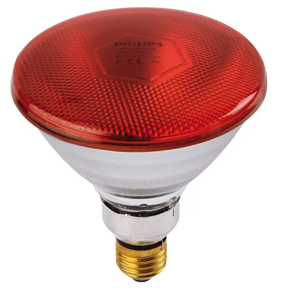 Ampoule PHILIPS IR/PAR rouge 100W