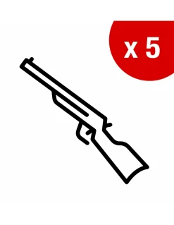 Armoire à fusils Monteria, fermeture électronique à code, 4 pênes, capacité de 5 fusils - THIRARD