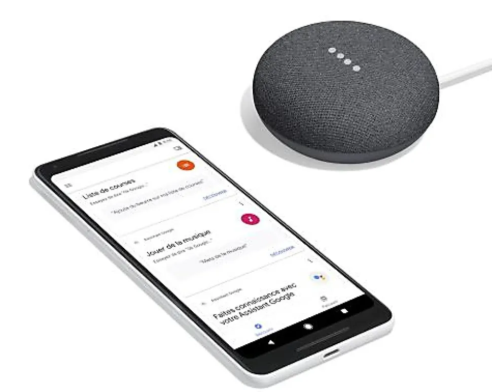 Assistant vocal Google mini anthracite