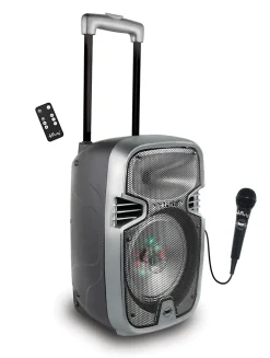 Bluetooth Karaoke avec roulettes, lumières et micro