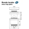 Bonde de lavabo ø 63 mm Rousseau avec clapet clic clac blanc avec trop plein