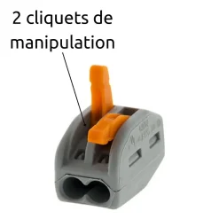 Borne rapide automatique à cliquet S222 - 2 entrées - Wago
