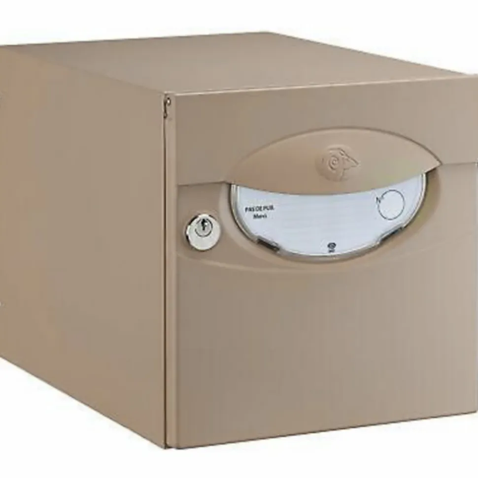 Boîte aux lettres 1 porte Decayeux Iguane Latté Ral 1019
