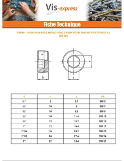 Bouchon mâle hexagonal creux à visser SW12 3/4 12X13.7 Inox A2 - 1 pièce