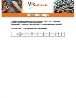 Boulon (vendu avec Ecrou) TRCC JAPY tête ronde collet carré M12X100 Filetage total Acier zingué - 50 pièces