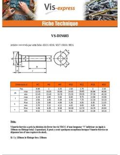 Boulon (vendu avec Ecrou) TRCC JAPY tête ronde collet carré M6X60 Filetage partiel Acier zingué - 30 pièces