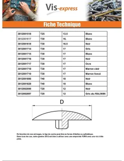 Cache vis Tête fraisée TORX TORX T15 Diamètre de tête: 12 nylon noir - 100 pièces