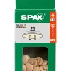 Cache-vis vis torx T20 beige 25 pièces
