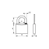 Cadenas à clé Type 1, laiton, extérieur, anse inox, 30mm, 2 clés - THIRARD