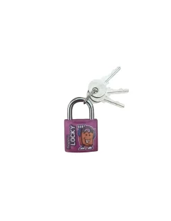 Cadenas BASIC à clé, base 30 mm, anse acier, 2 clés - SERRUPRIX