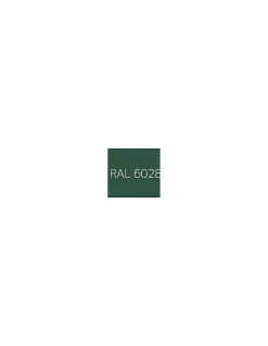 Capuchon plastique Vis Diamètre 6.3 Surplat 10 RAL6028 - 100 pièces