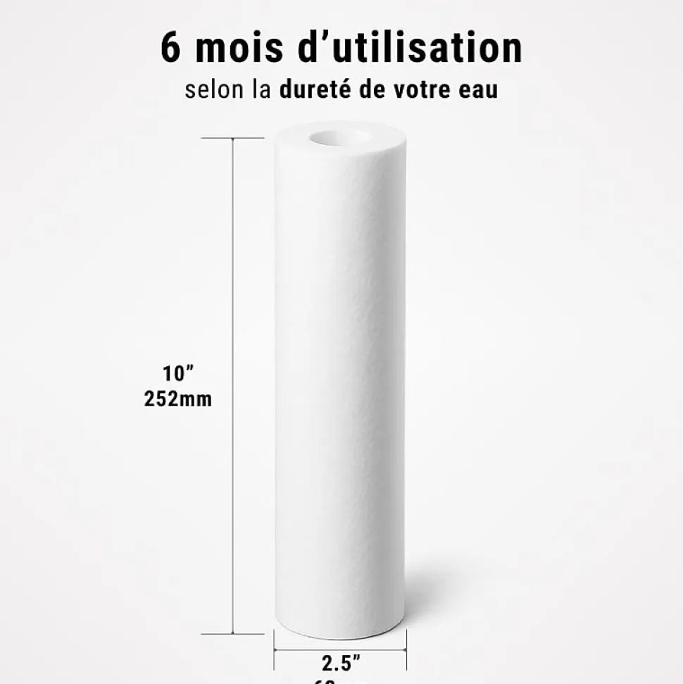 Cartouche anti-sédiments 9' 3/4 double gradient lot de 6