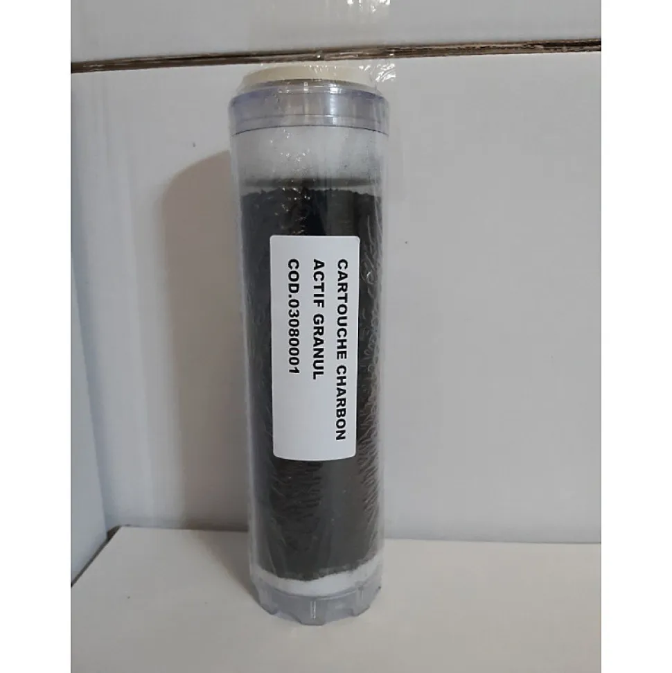 Cartouche charbon actif filtre à eau anti-goût et odeur