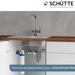Cartouche Filtrante BWT pour mitigeur filtrant AQUASTAR Pro