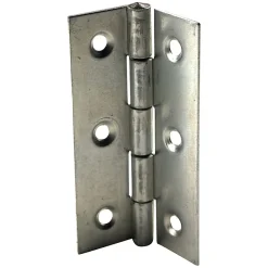 Charnière inox Diall 60 x 35 mm vendue par 2