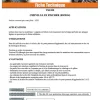 Cheville Nylon à collerette Fischer SX 6X50 - 100 pièces