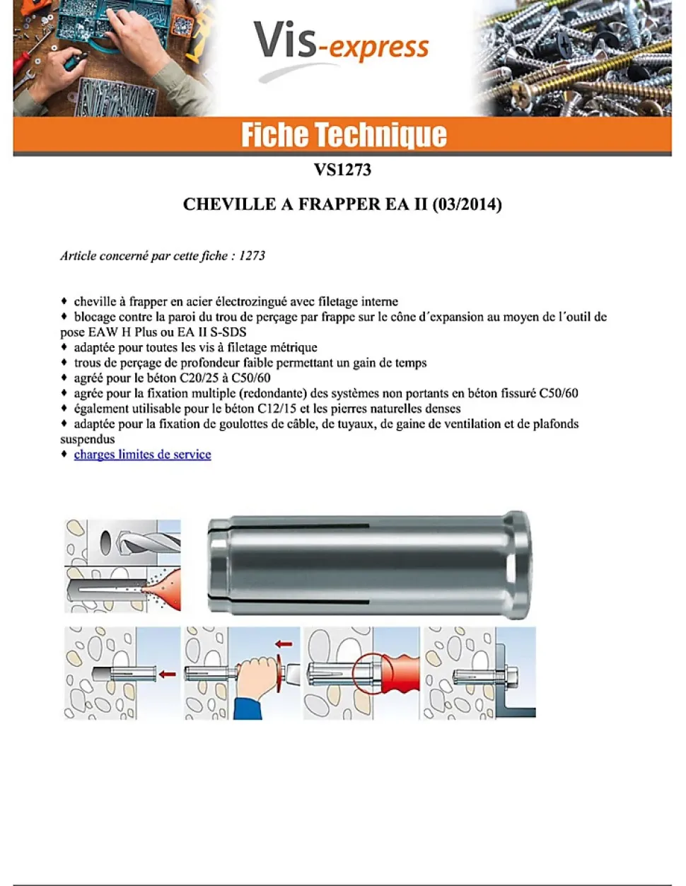 Chevilles à frapper EA II - Acier, électro zingué-48406 (boite de 25 pieces)