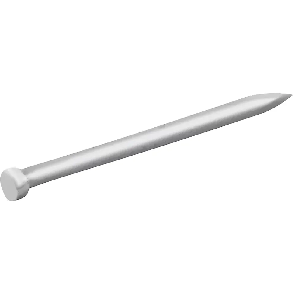 Clous à tête d'homme ronde en acier galvanisé 1,6x30 - 5kg