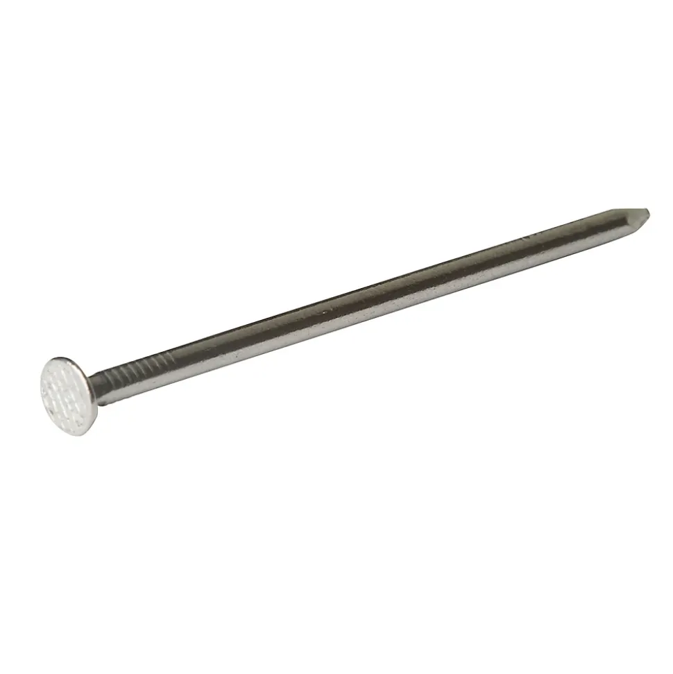 Clous à tête plate en acier galvanisé 2,4x50 - 125g