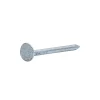 Clous à tête plate en acier galvanisé 3x40 - 125g