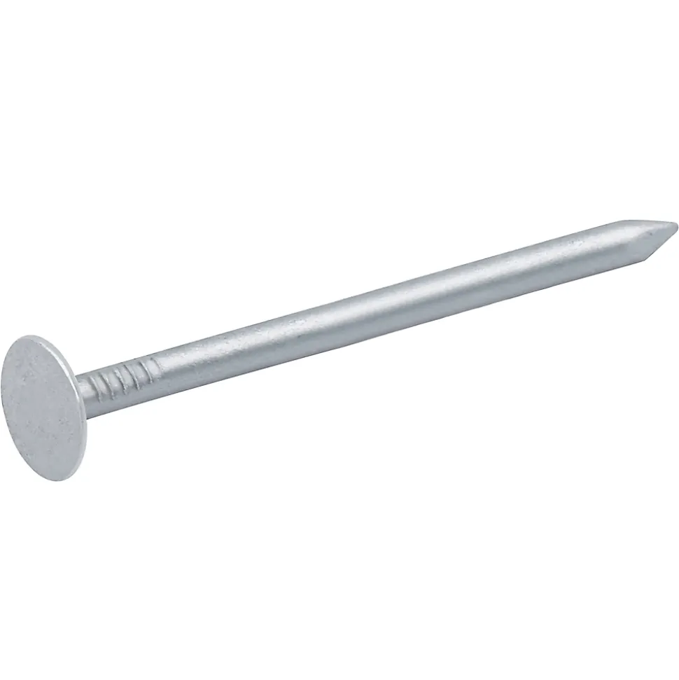 Clous à tête plate en acier galvanisé 3x50 - 2kg