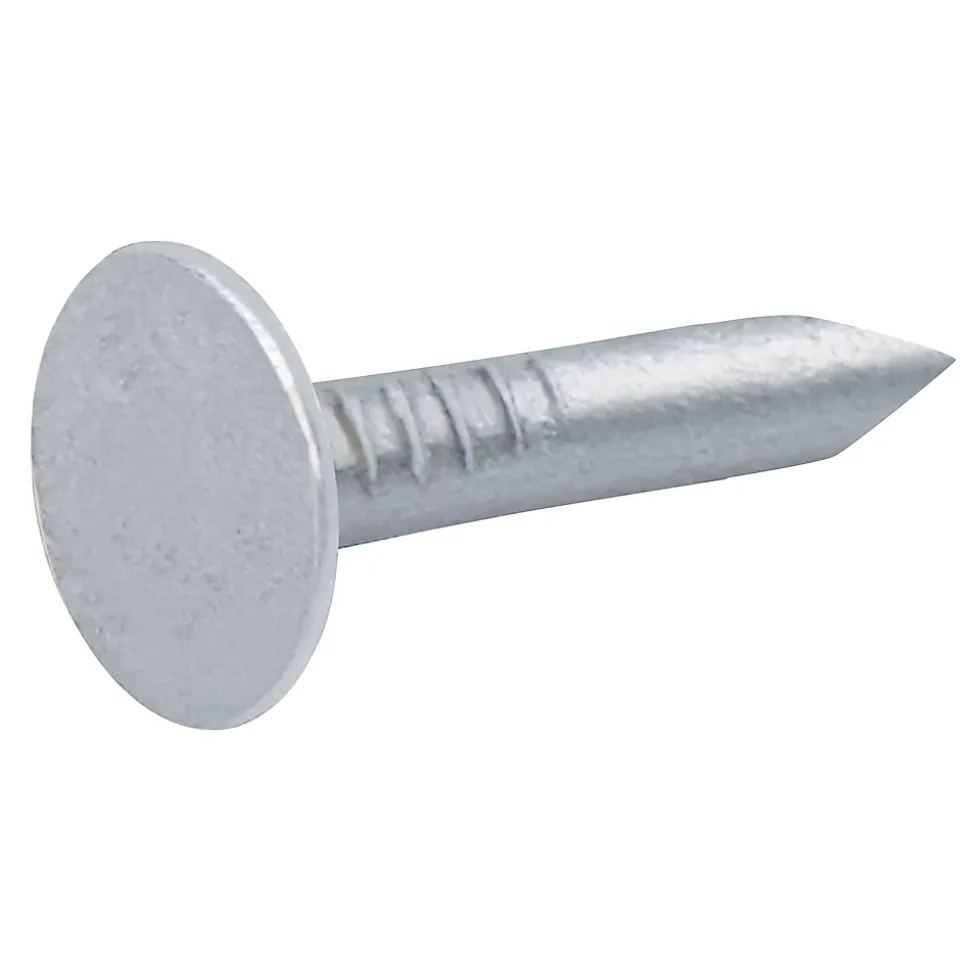 Clous à tête plate en acier galvanisé 3x20 - 1kg