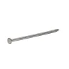 Clous à tête plate en acier galvanisé 5,5x140 - 125g