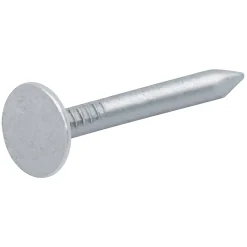 Clous à tête plate en acier galvanisé 3x30 - 1kg