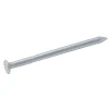 Clous à tête plate en acier galvanisé 2,4x40 - 125g
