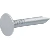 Clous à tête plate en acier galvanisé 3x20 - 2kg