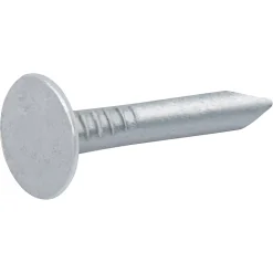 Clous à tête plate en acier galvanisé 3x20 - 2kg