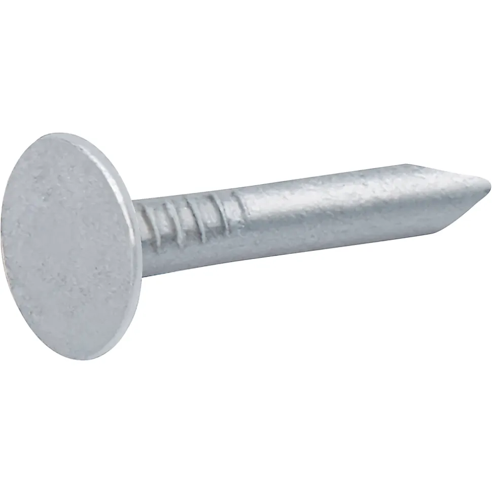 Clous à tête plate en acier galvanisé 3x20 - 2kg